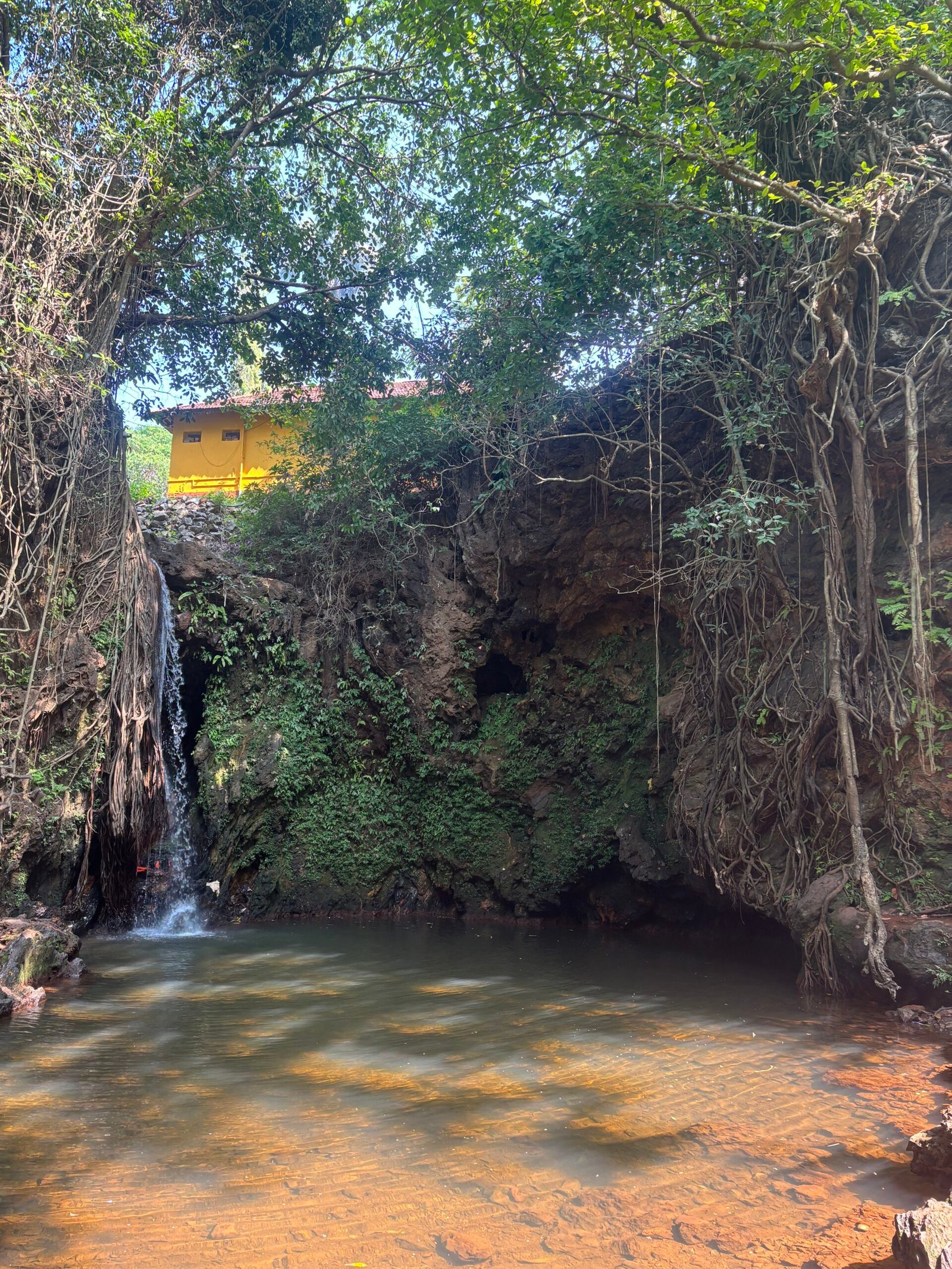 Apsarakonda waterfall flowing into a shaded natural pool near Honnavar