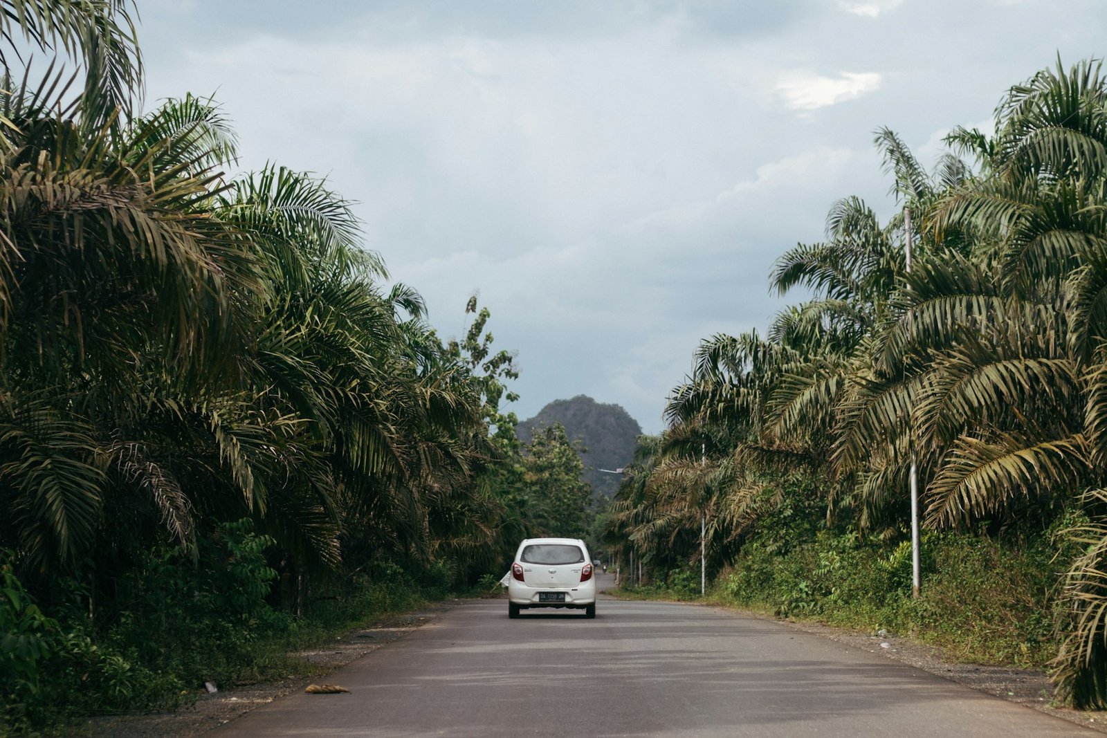 Local car rental service near Lopez Paradise in Honnavar